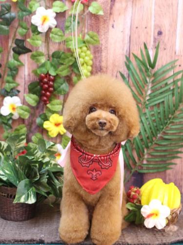 20230813こじろうくん